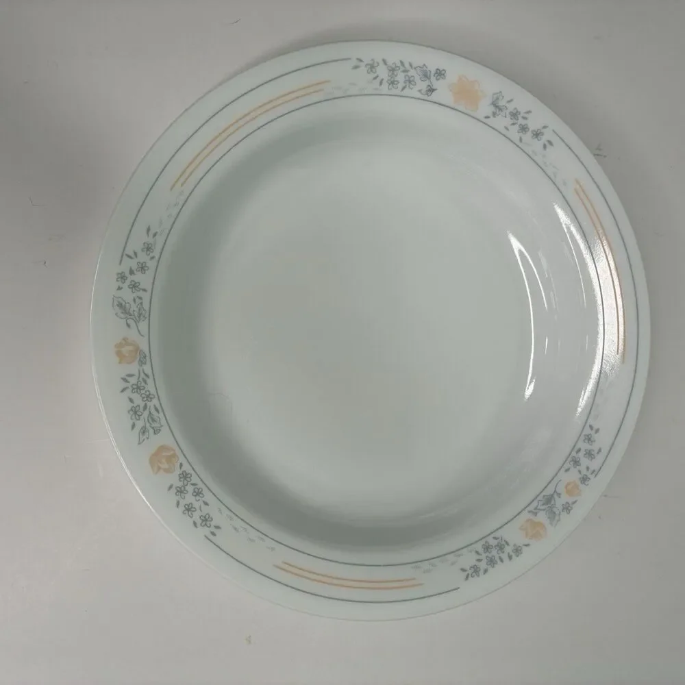 Corelle Apricot Grove Set of 4 Flat Rimmed Shallow Soup Salad Pasta Bowls 8.5